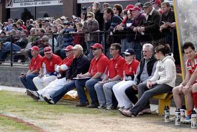 All Swans Bench