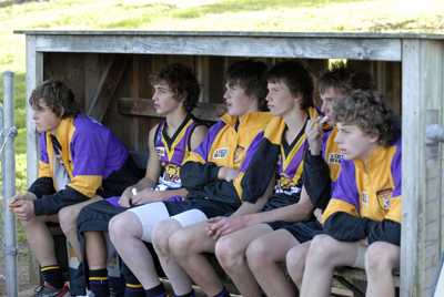 Bushies Bench