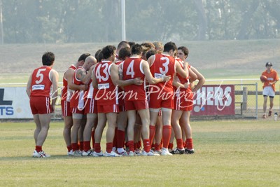 All Swans Before Game