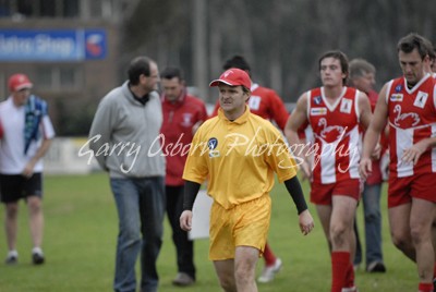 Swans Runner - Moroney & Players