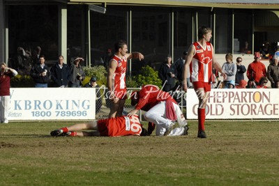 Swans Trainer - Metzke & Hand