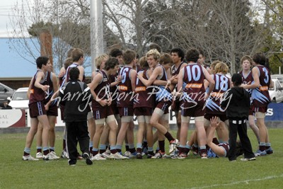 Harlow & Teammates