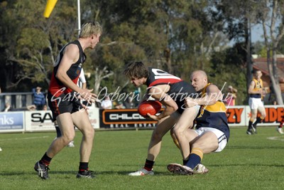 Deledio, Beck & Mensch