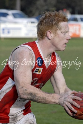 Shepp Swans - Brian Durbidge