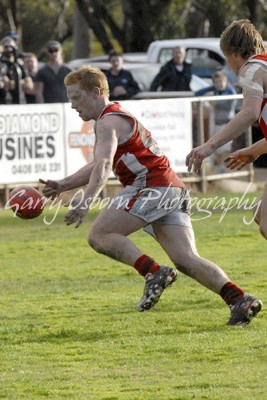 Shepp Swans - Brian Durbridge 