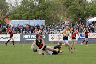 Deledio, Hart & Hopkins