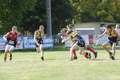 Barassi, Murray, Reyment & Adams