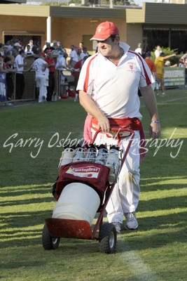 Swans Trainer - Metzke