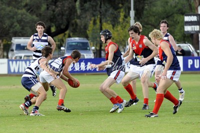 Di Bella, Foott, Mooroopna & Osborn