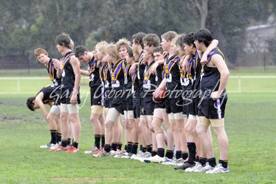 All Bushies Line Up