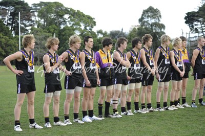 All Bushies Line Up