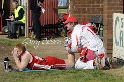 Swans Trainer - Metzke & Durbridge