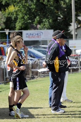 Bushies Coach - Shannon