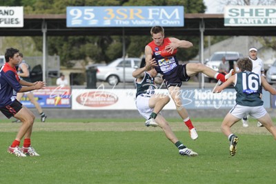 Butler, Vidler, Casey & McQuillan