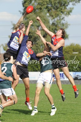 Sidebottom, Vidler, Echuca & Carroll