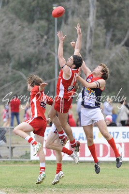 Gleeson, McDonald & Carroll