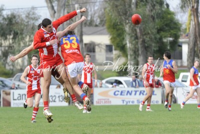 Coyle, Briffa & Hamilton