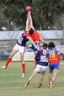 Gribben, Schottner, Ellis & Sidebottom