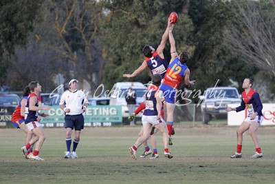 Central Umpire - Hamilton