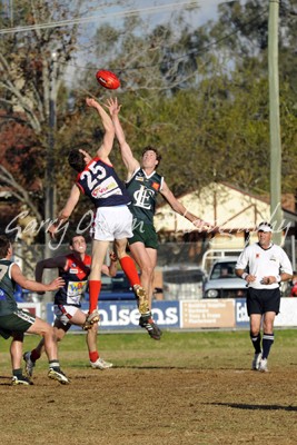 Central Umpire - Paterson