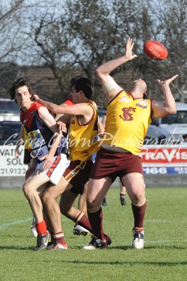 Shepparton, Faram, Vallender & Wilson