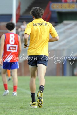 Bushies Runner - Turner