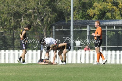 Bushies Trainer & Middleton