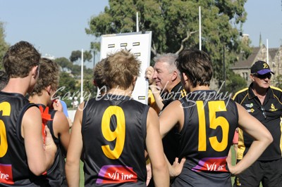 Bushies Coach - O