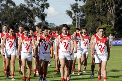 All Swans Players