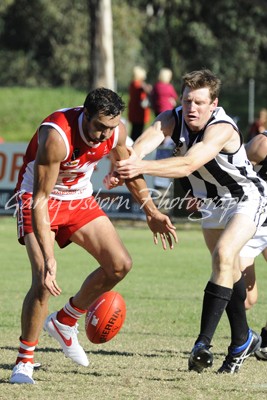 Egan, Harper & Euroa