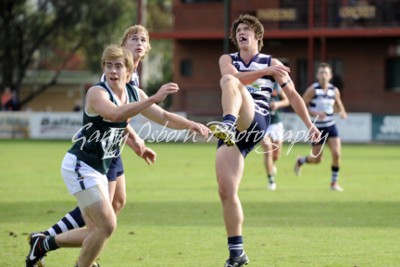 Fallon, Echuca & Johnstone