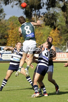 McGlone, Echuca & Yze