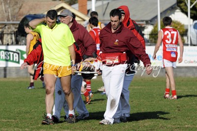 Shepparton Trainers - Cussens, Southwell & Runner Ash