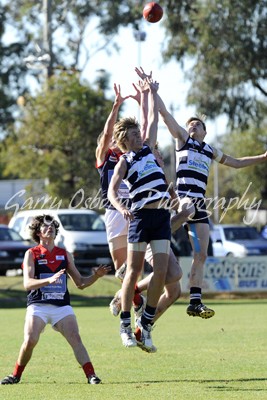 Sneyd, Devine & Harlow