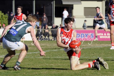 Crow & Echuca