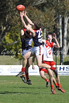 Chalkley, Bentley & Shepp Swan