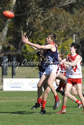 Chalkley, Bentley & Shepp Swan