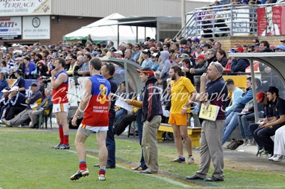 Seymour Coach - Haberman, Zotti & Staff