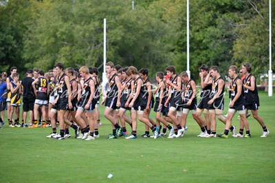 All Bushies Players