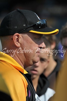 Bushies Coach - Shannon