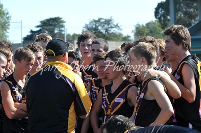 Bushies Coach - Shannon & Players