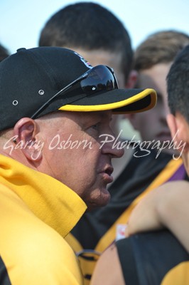 Bushies Coach - Shannon