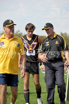 Bushies Assistant Coach - Kitto & Brereton