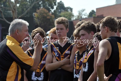 Bushies Coach - O