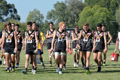 All Bushies Players