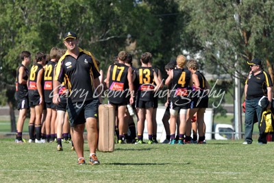 Bushies Trainer - Pritchett