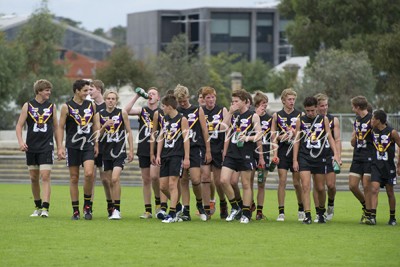 All Bushies Players