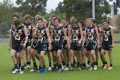 All Bushies Players