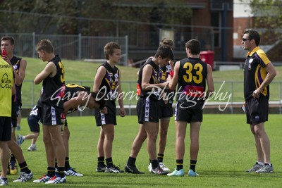 All Bushies Players