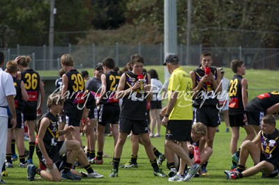 All Bushies Players & Lambourn